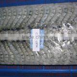 HL Black Tiger Shrimps thumbnail-1