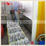 Vacuum -packed Short Necked Clam in Shell thumbnail-2