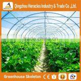 Heracles Trade Saaurance Good Quality Green House Plastic Film for Agricultural thumbnail-5