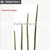 High Quality Decorative Leaves for Vertical Wall thumbnail-5