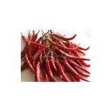 Dried Red Chilli thumbnail-1