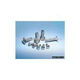 Round Head Square Neck Bolt thumbnail-1