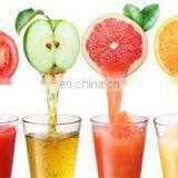Electric Chopper Automatic Juicer Machine thumbnail-2