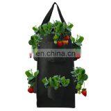 Breathable Felt Garden Grow Bags for Strawberry Growing thumbnail-1