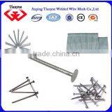 Building Common Nail Making Machine for Kenya thumbnail-6