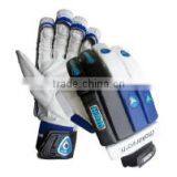 Cricket Batting Gloves