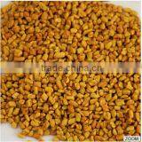 Fenugreek Seeds thumbnail-2