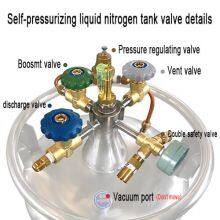 Dominica Filling Liquid Nitrogen Tank KGSQ Liquid Nitrogen Dewar thumbnail-3