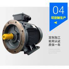 IE5 YE5-250M-4-55kW FOR FAN COMPRESS 400V/690V MOTOR thumbnail-5