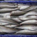 WR Frozen Hake thumbnail-5