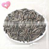 Led Lamp Parts Small Led Street Light Solar Led Streetlight Factory thumbnail-5