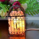Himalayan Natural Iron Art Salt Lamp