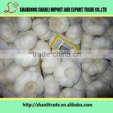 Chinese Bottled Garlic Chinese Garlic/fresh Garlic Garlic thumbnail-1