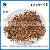 Tartary Buckwheat Puffied Machine,puffing Machine thumbnail-2