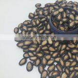 Hami Melon Seeds For Sale thumbnail-1