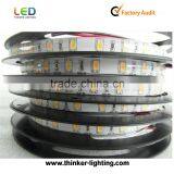 Waterproof 5M 3014 Smd Led Stript Light DC 12V White Warm White Red Green Bule Yellow 120leds/m thumbnail-1