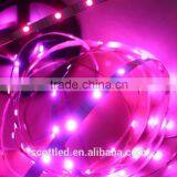 DC5V 60leds Led Rgb Strip IC Ws2813 Non-waterproof Led Strip Light