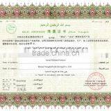 Boneless Skinless HALAL Frozen Chicken Breast thumbnail-6