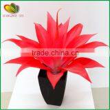 Mini Yucca Plant Bonsai Tree for Home Decoration thumbnail-3