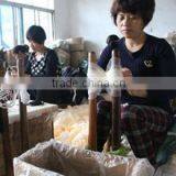 Quzhou Morco Trade Co., Ltd. company overview - view 2 thumbnail