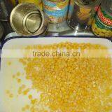 Top Quality Canned Sweet Corn thumbnail-2