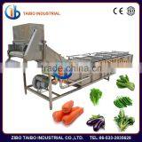 Factory Price Fruit and Vegetable Washing Machine