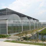 Plastic Film Multi Span Agriculture Greenhouse thumbnail-5