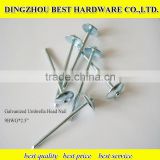 Galvanized Roofing nail with umbrella head