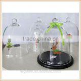 cheap clear glass bell jars wholesale