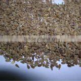 Pure Carum Copticum / Bishop's Weed / Ajwain