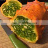 Kewana Seeds Jelly Melon Seeds The Horned Melon For Growing thumbnail-2