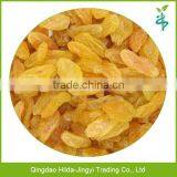 AD Sweet Dried Golden Raisins thumbnail-1