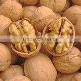 Wholesale Walnut & Walnut Kernel Walnut Kernels From China at Discount Price thumbnail-1