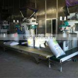 5009 24/64 Sunflower Seeds thumbnail-4