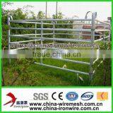 Ranch Fencing/Horse Fence