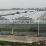 BaoLiDa Low Cost Plastic Film Covered Hoop Greenhouse thumbnail-3