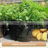 Promotion Felt Grow Bags Hanging Felt Diy Planter for Decoration thumbnail-1