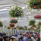 SOL 2015 Environment-friendly Hydroponics Plastic Flower Basket Hanging Flower Pots thumbnail-6