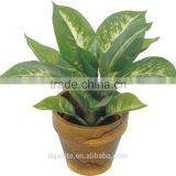 Artificial Green Bonsai Snow White 25-13J-GN( Plant Bonsai Flower Tree of Este ) thumbnail-1