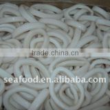 Frozen Squid Ring Todarodes Pacificus thumbnail-1