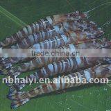 Frozen Wheel Shrimp thumbnail-1