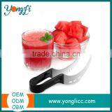 Watermelon Stainless Steel Slicer Corer and Serving Tongs With Melon Baller and Fruit Carving Knife thumbnail-1