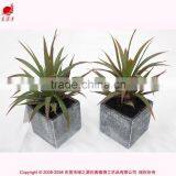 Wholesale Mini Succulent Potted Artificial Mini Aloe Green Aloe Artificial Plant thumbnail-6