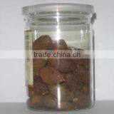 Sterculia Lychnophora