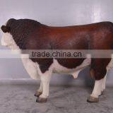 Hereford Bull thumbnail-3