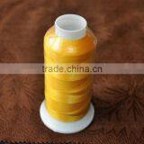 High Quality 120D/2 5000m Polyester Embroidery Thread