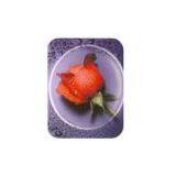 Sell 1.499 Bifocal Lens thumbnail-1