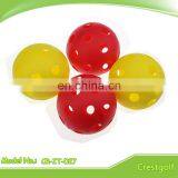 Colorful and Durable Pickle Balls thumbnail-5