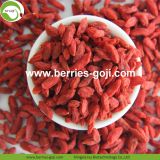 Factory Supply Dried Lose Weight Goji Berry