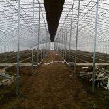 Large Size Commercial Plastic Film Greenhouse thumbnail-4